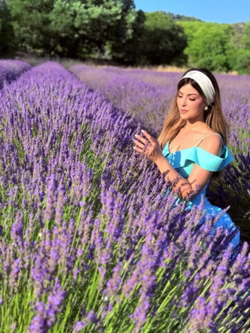 حقول اللاڤندر في الريڤيرا 🪻🪻🦋