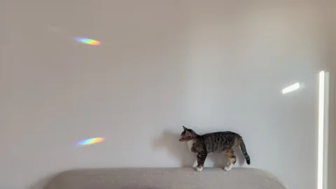 lights i liked ☀️🌈🕯️💛
