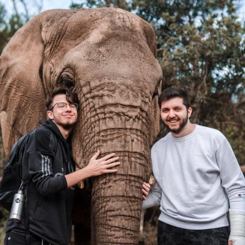 Filini sahiplenen erkek tutuşu 🐘  Bu unutulmaz deneyimi bize yaşattığı için