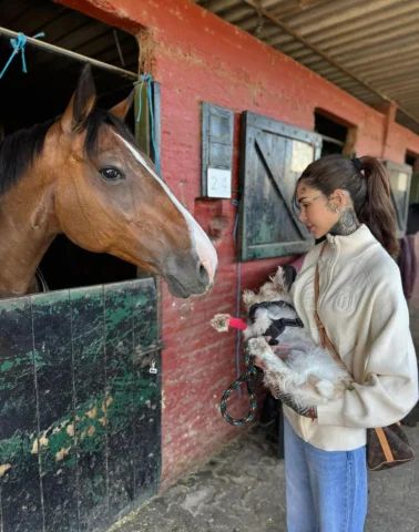 no entra tanto amor en un posteo 🐶🐴🐶❤️‍🩹