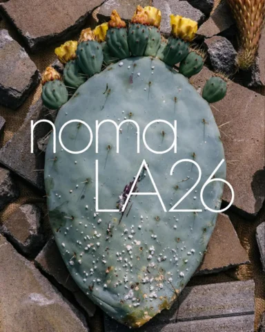 What is LA? We’re coming to find out. Get ready to join us…

Noma LA bookings wi