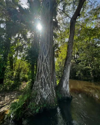 I spent a week in FLAAHHRIDA and only took about 15 pictures. 12 of them were on