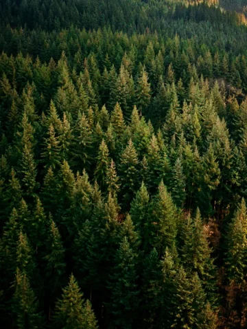 Somewhere over the trees 🌲 🏔️🚁

Shooting in these dream locations, the world 