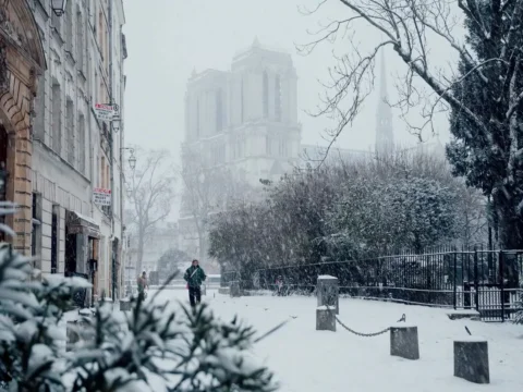 Dream day ❄️ This morning snowstorm turned Paris into a true winter wonderland! 