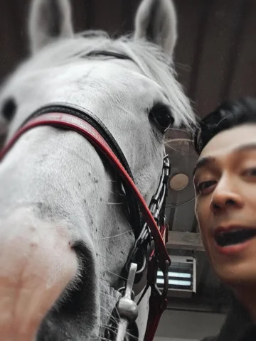 第一次近距離接觸馬😍😍
馬馬同事您好 
多多指教 辛苦晒🤣🐴🤍