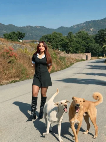 Say hi to to my furry friends 🐾🐶