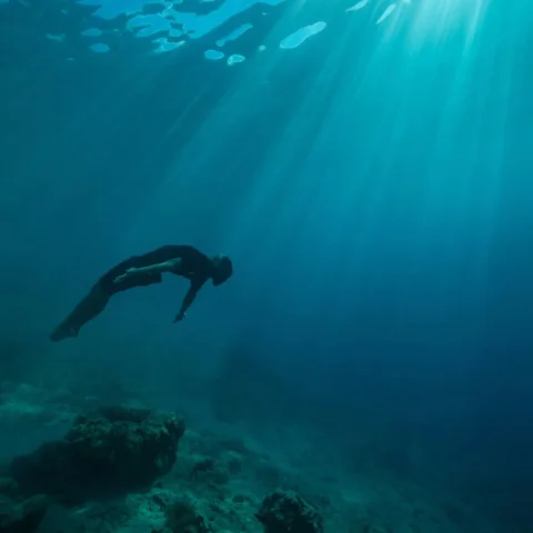 I have floated in the middle of the Pacific, far from any shore, looking down in