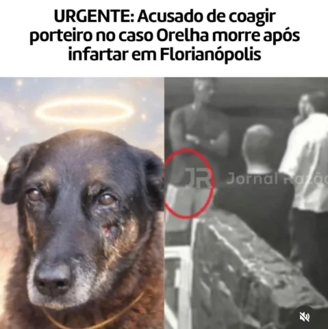 Um dos indiciados
por suposta coação contra testemunha no caso do cão Orelha mor