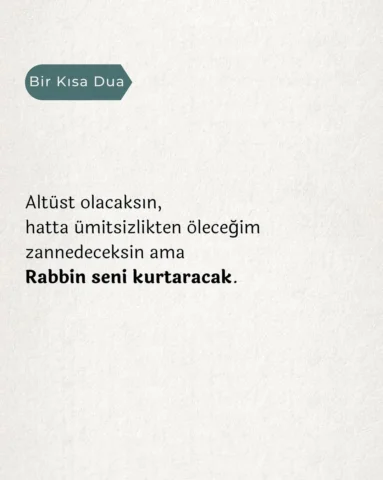 Umutsuzluğa düşersen, 
bu ayeti hatırla;

“Rabbin, seni terk etmedi
ve sana darı