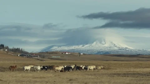 iceland