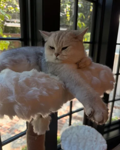 😻😻😻