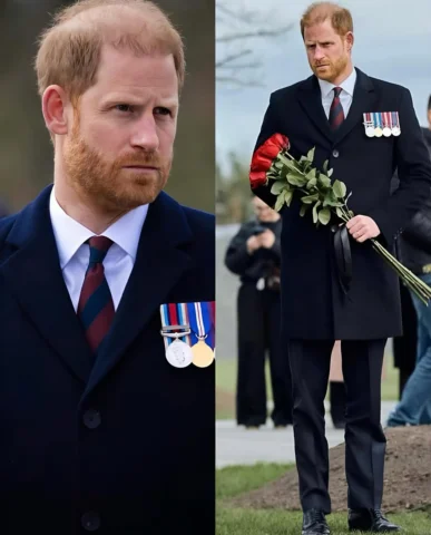 🚨NEW: Prince Harry, Duke of Sussex visited memorial for fallen soldiers 🇺🇦

A