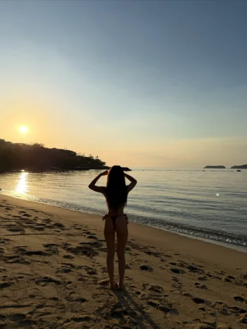 🌺
