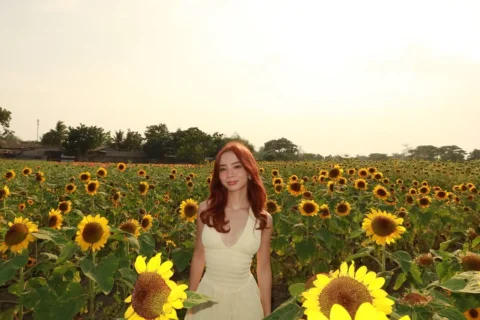 🌻🌞💐🧺