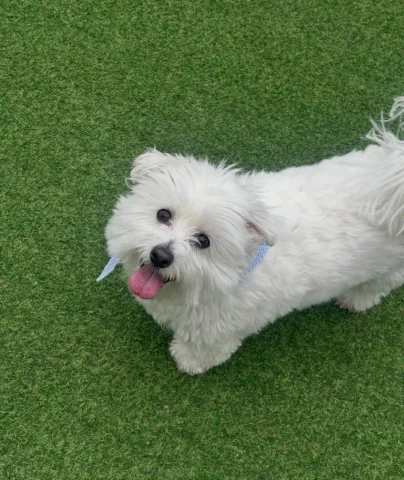 꾸마 불렀엉 ? 🌝🐾