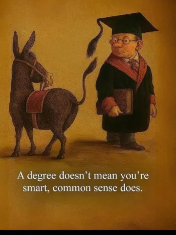 📌