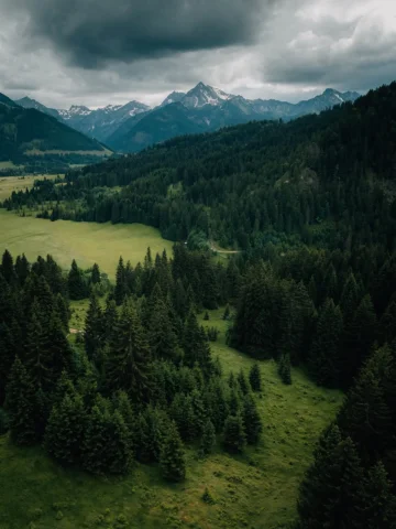 where the mountains meet endless greens 🌿⛰️📸

#photography #mountains #travel