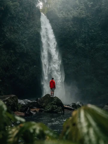 Lost in the greens of bali🌿📸

#nature #travel #photography #bali