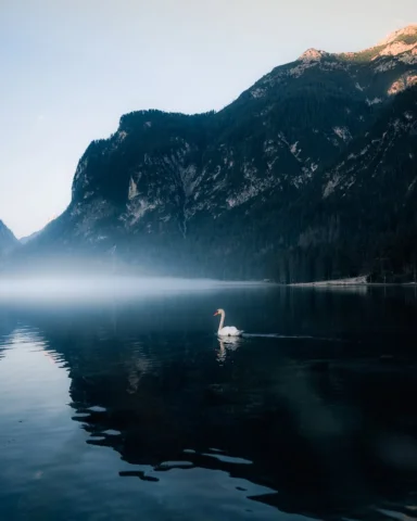 Blue hour on the lake, just before the world wakes up📸
The water was completely