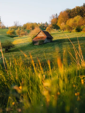 Finally spring is here📸🌿🌳

#nature #spring #travel #photography