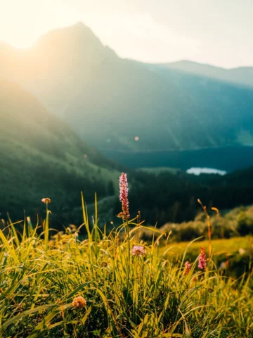 Soon the hiking season will start and I am so ready for it🙌🏻⛰️☀️

#mountains #