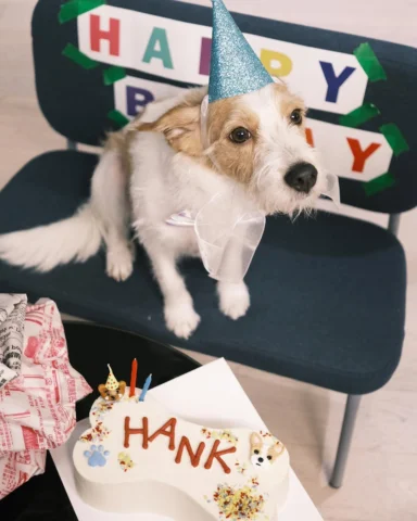 행피벌스데이 🥳🫧🫶🏼💕