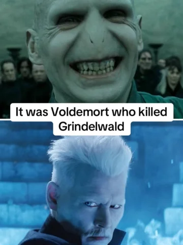 Harry Potter headcannons 💣

#headcanon