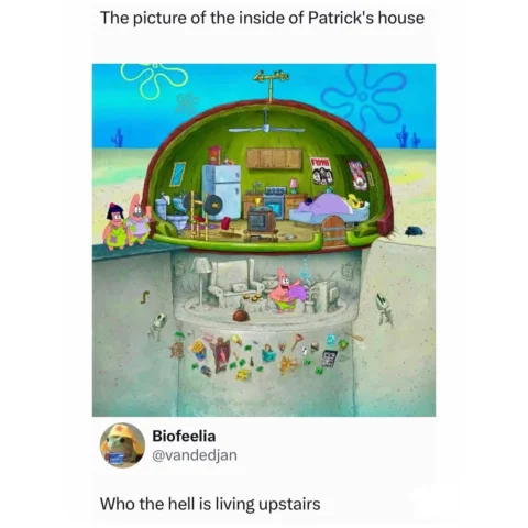 Patrick so smoked he doesn’t realize he has an entire upstairs to the rock he’s 
