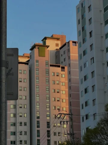 아주미처럼 동네 꽃 다 찍고 다니는 중