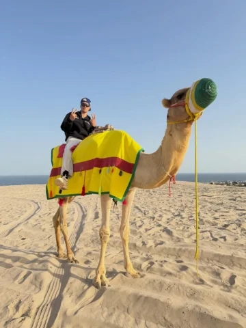 🐫🦅🇶🇦
#qatar