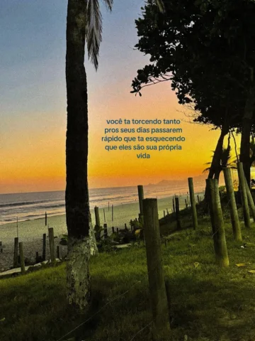 não esqueça de viver 🌞