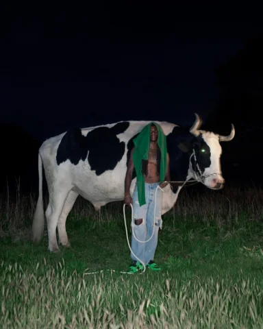 T-REXX GREEN SPARKS 
OUT NOW
@cactusjack