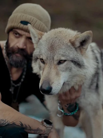 Sessizler ama sevgileri en gürültülüsünden🐺🐰🐻🐄🐿️🐾
#nature #animals #outdoo