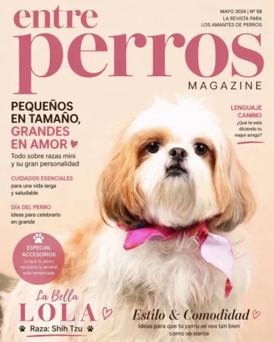 “Mi Pequeña en tamaño… inmensa en amor 🤍🐾
La Bella @lolamatosynfante ✨ portada