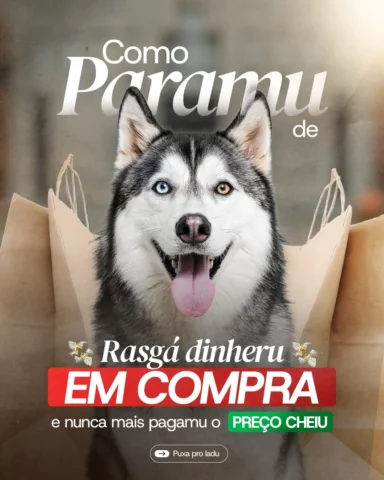 FORO ANOS rasganu dinheiru em compras nessa residência 😓

O Carlos nau tinha co