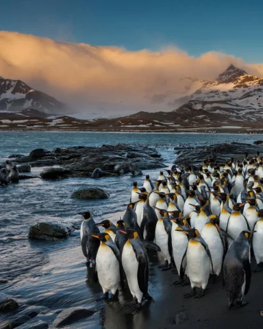 We live on a planet that is wildly and unfathomably alive. No matter how many ti