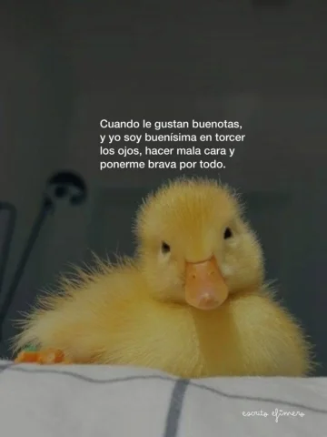 Y mucho más