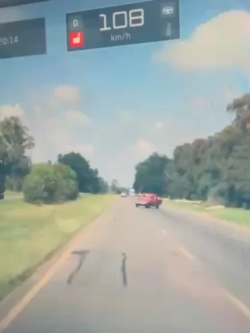 Asesino en estado larvario. La inseguridad tiene muchas formas, tiene diferentes