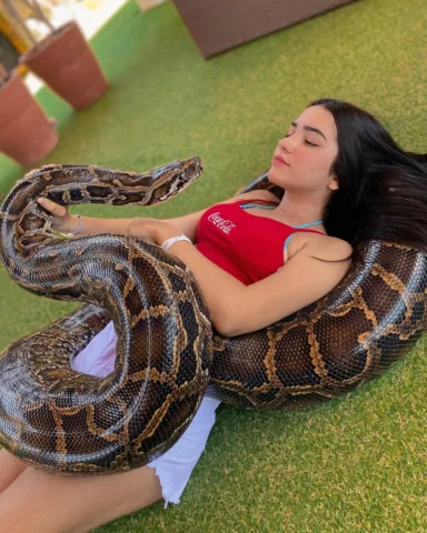 🐍