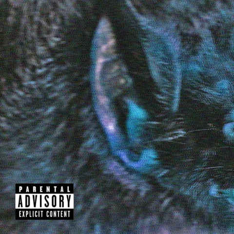 Album out now..
Link in bio