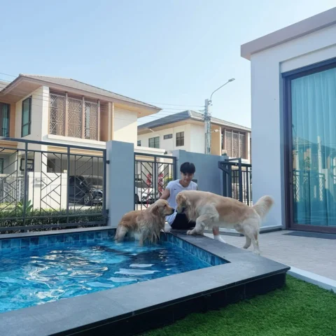 Quiet Songkran with my kids💦