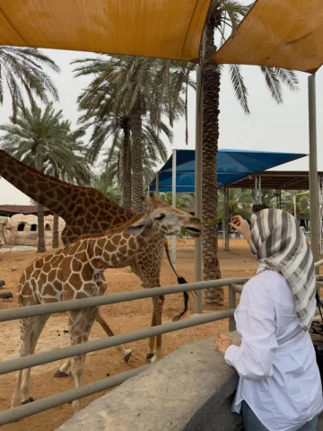 🦒🤎
