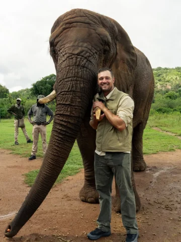 Highly recommend going on a safari