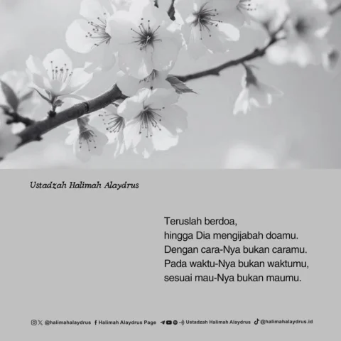 .
Doa bukan sekedar
Ia adalah semua yang kamu perlukan
.
#catatanhalimah #halima