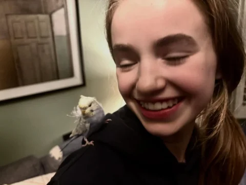 new friend bertie ♥️🫶🥹🦜

thanks @goldenwingsaviaries we love him