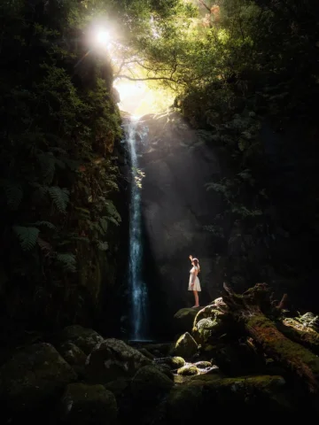 Pure magic 🌿✨

Love how these shots turned out 🥹🫶
📸 @_marcelsiebert 

#madei