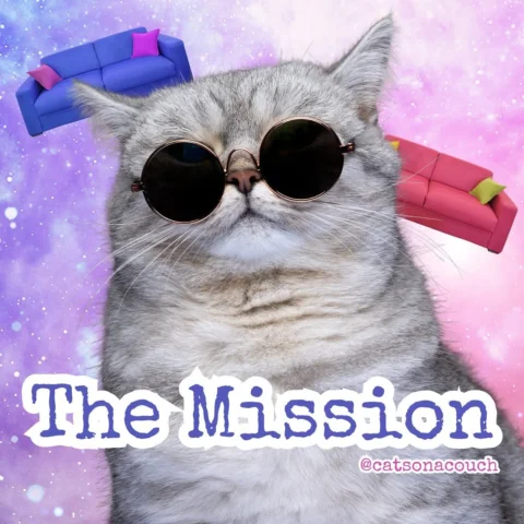 New Mission, Same Fight ⬇️

We started as a petty joke - 

A few cats on a couch