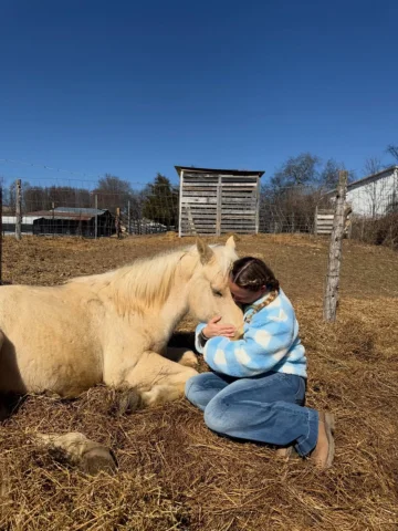 My horses are becoming my whole personality 🐴