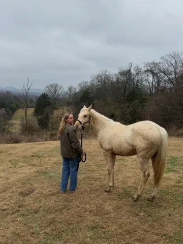 Year of the horse might just be the best year yet🐴
