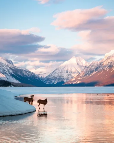 A bunch of Montana faves in honor of 4/06 🏔️

Who’s headed to Glacier this summ